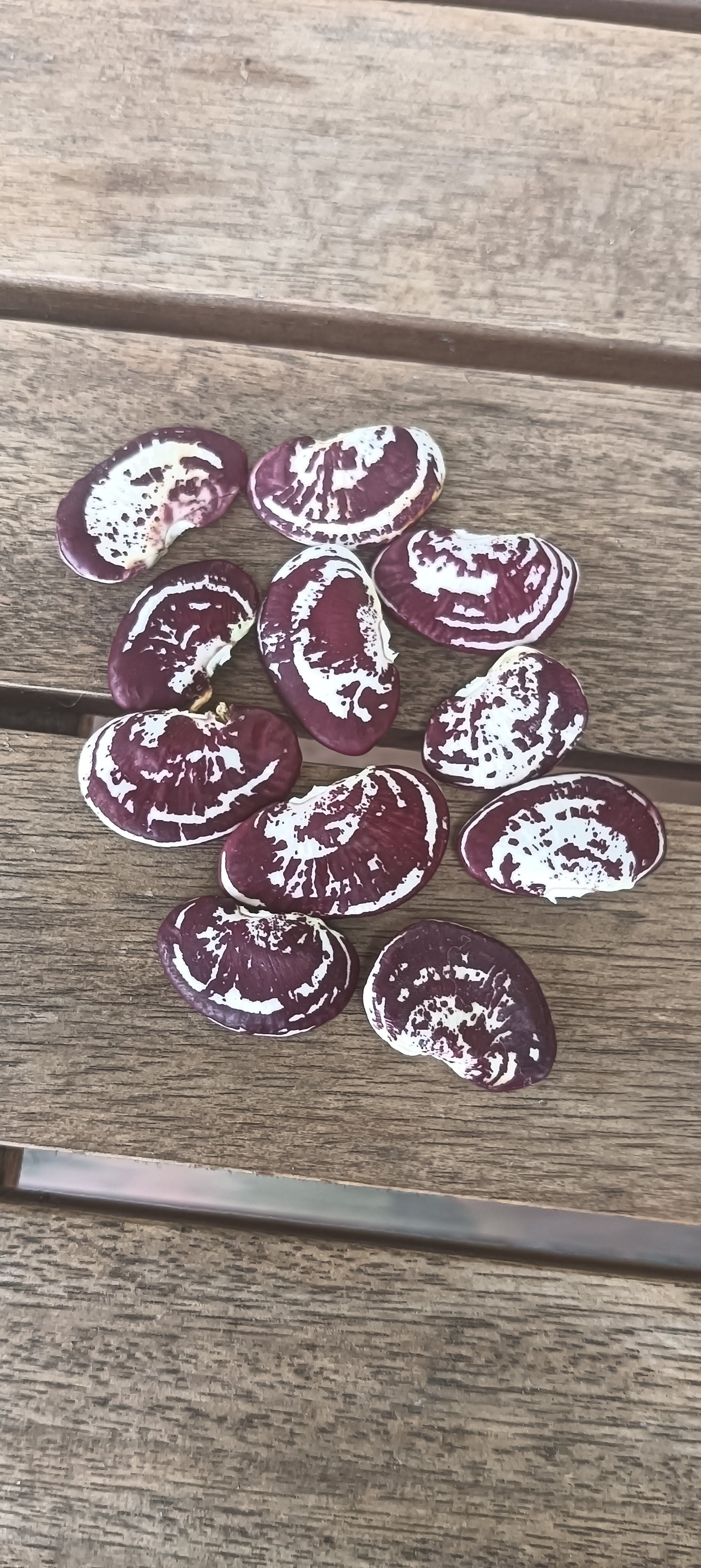 Madagascar Bean Seeds