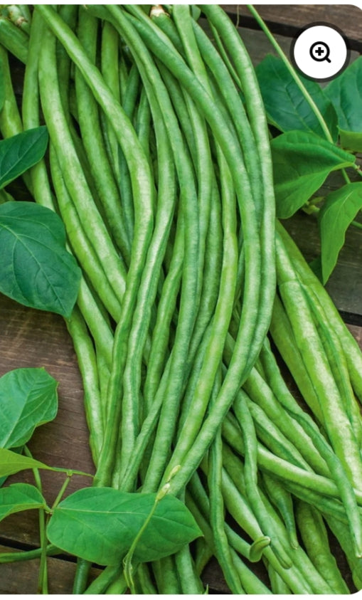 Snake Beans