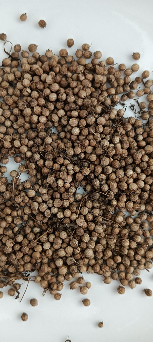 Coriander Seeds