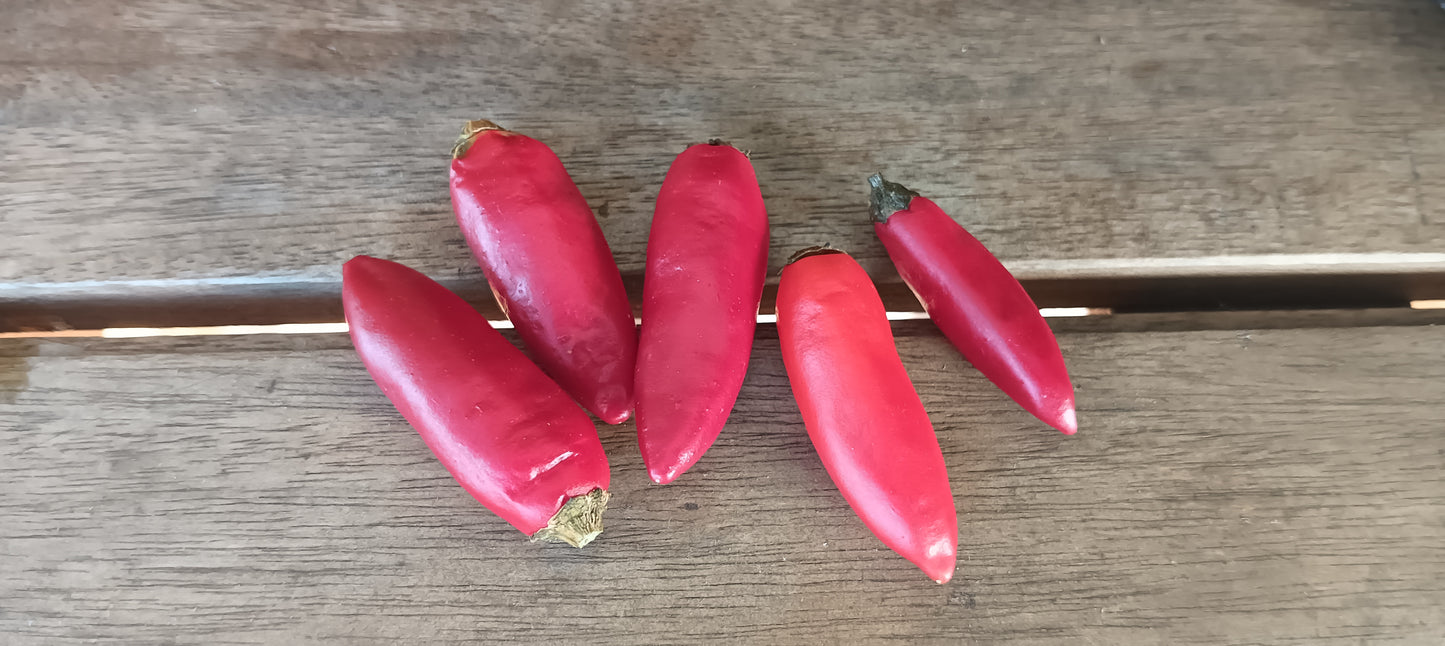 Chilli Bullet