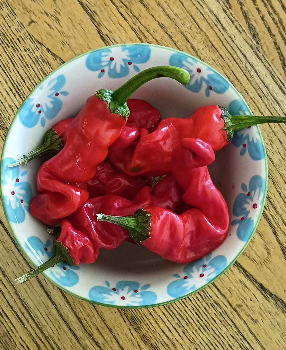 онлайн казино олвин